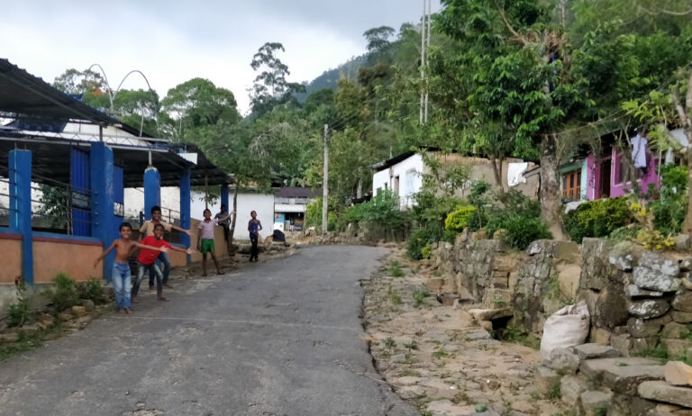 Avoiding tourists in Kandy and Ella