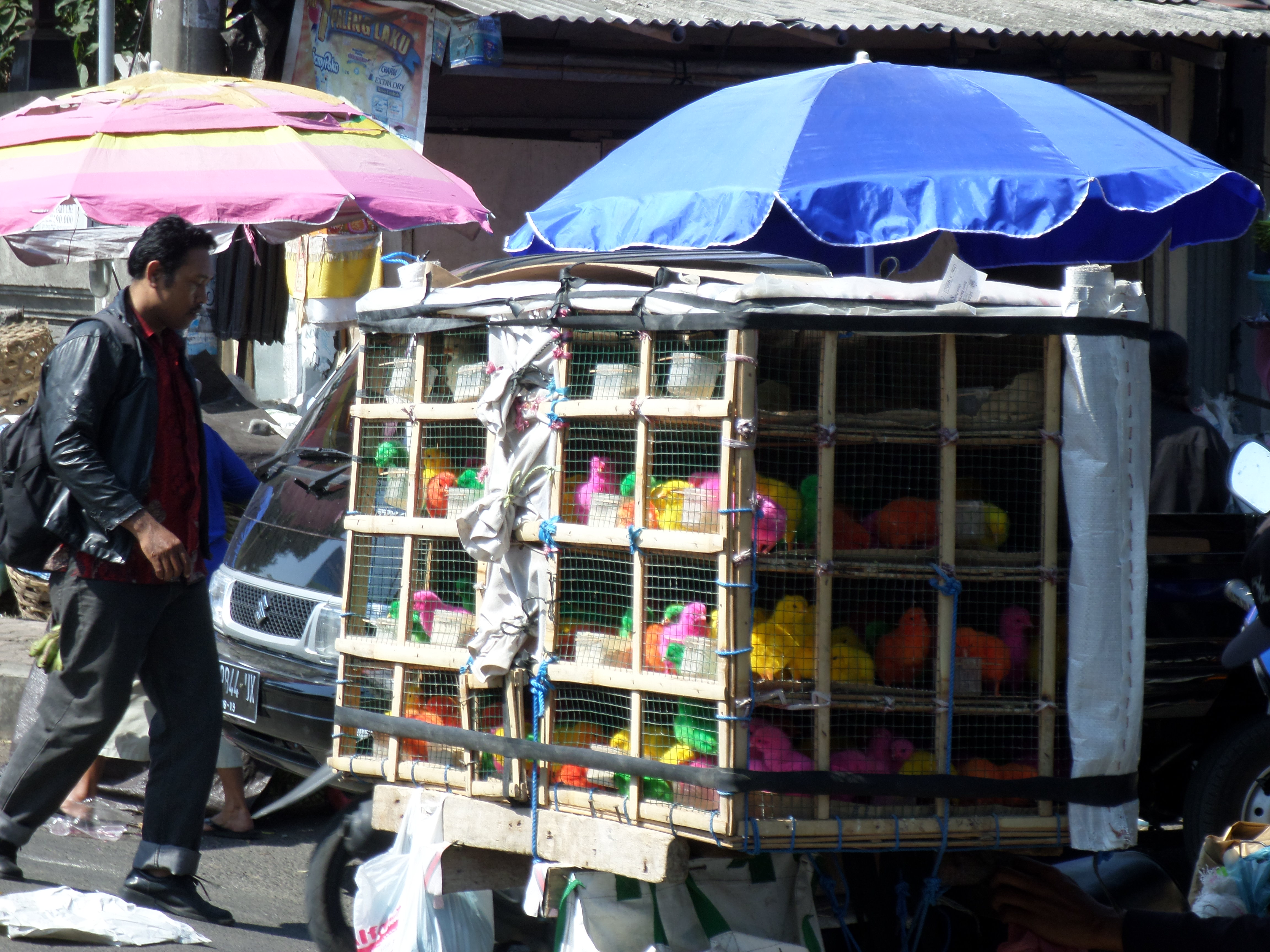 SAMSUNG CAMERA PICTURES