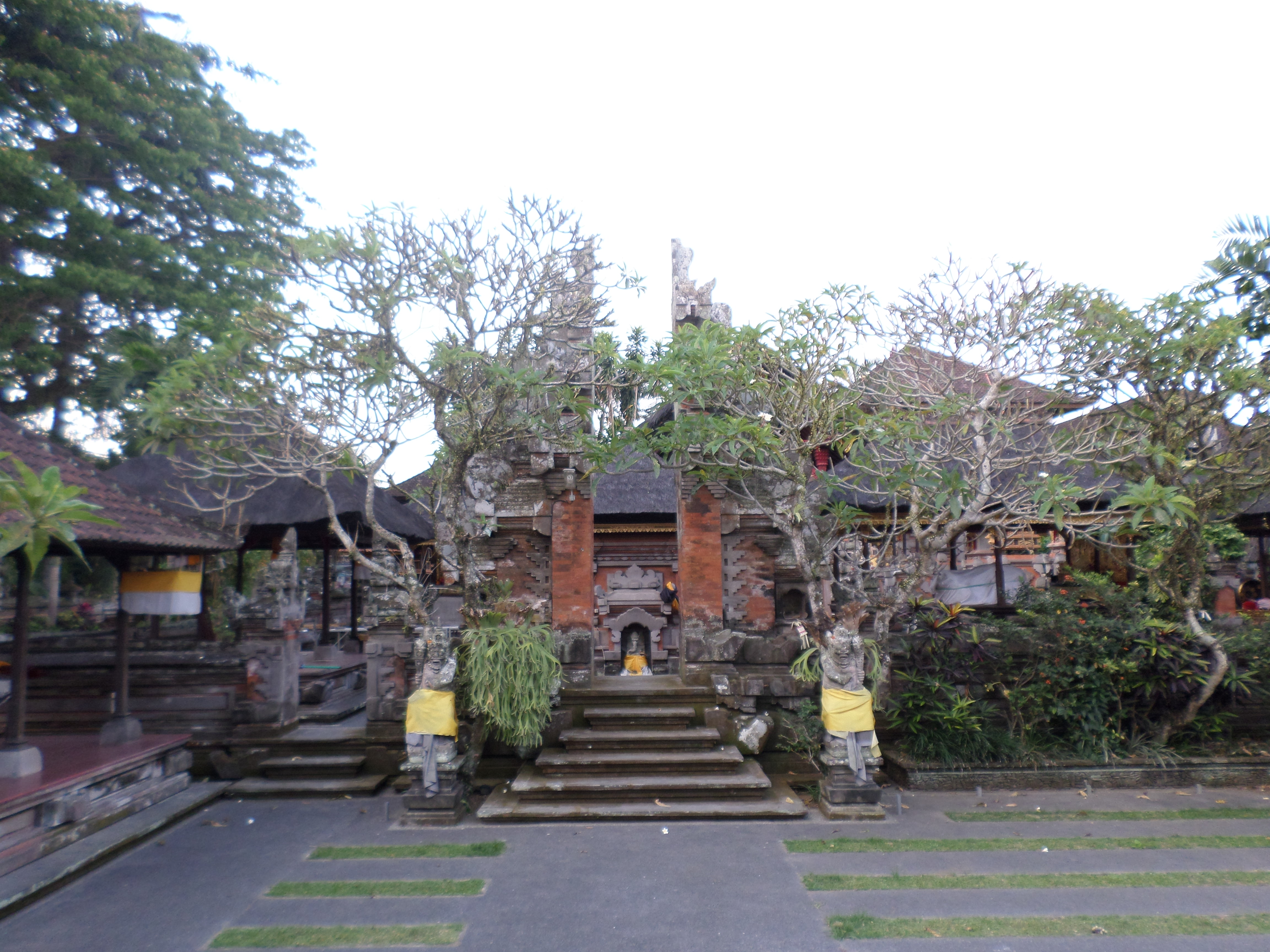 SAMSUNG CAMERA PICTURES