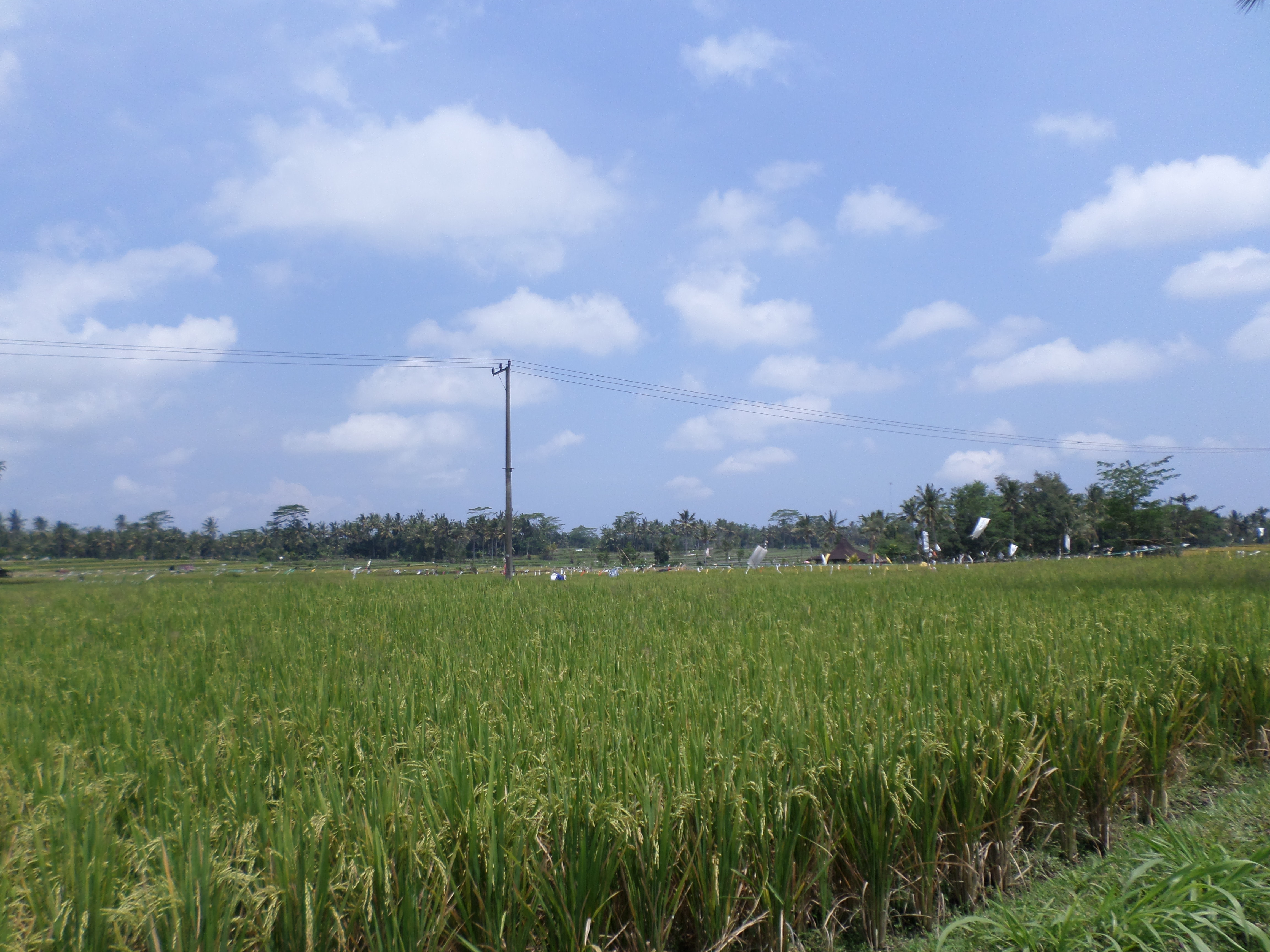 SAMSUNG CAMERA PICTURES