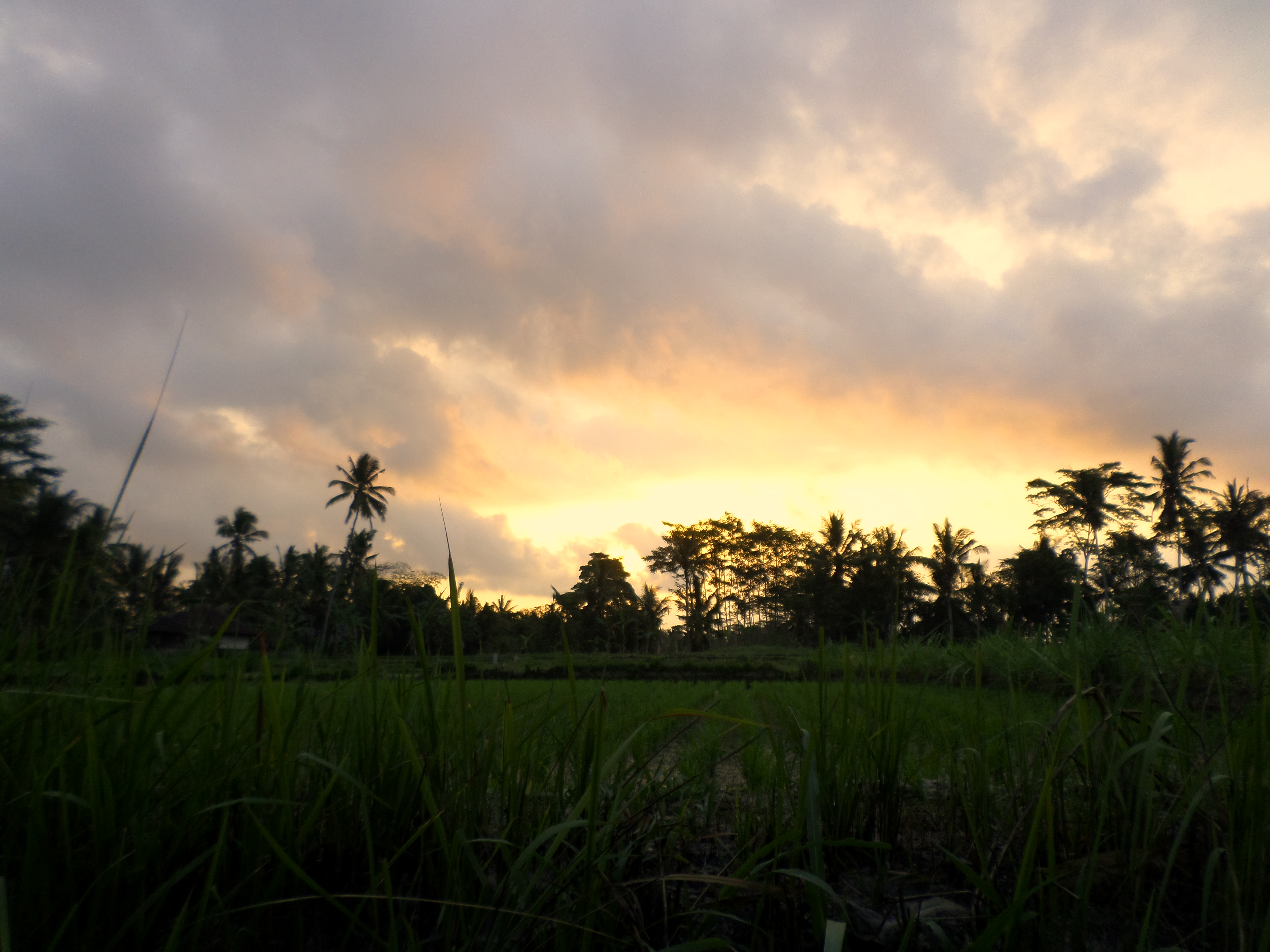 SAMSUNG CAMERA PICTURES