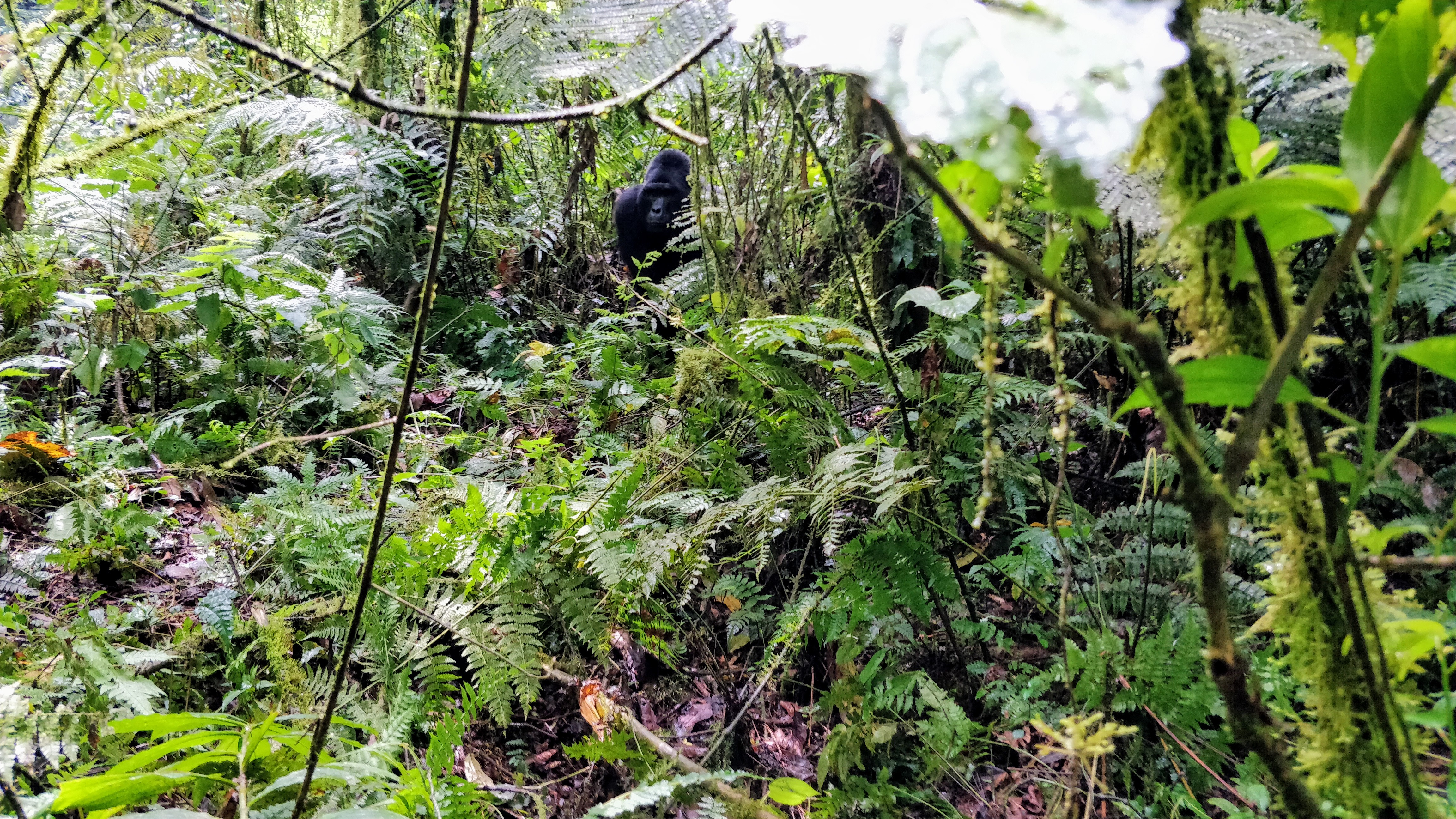 img_20180909_113114_01