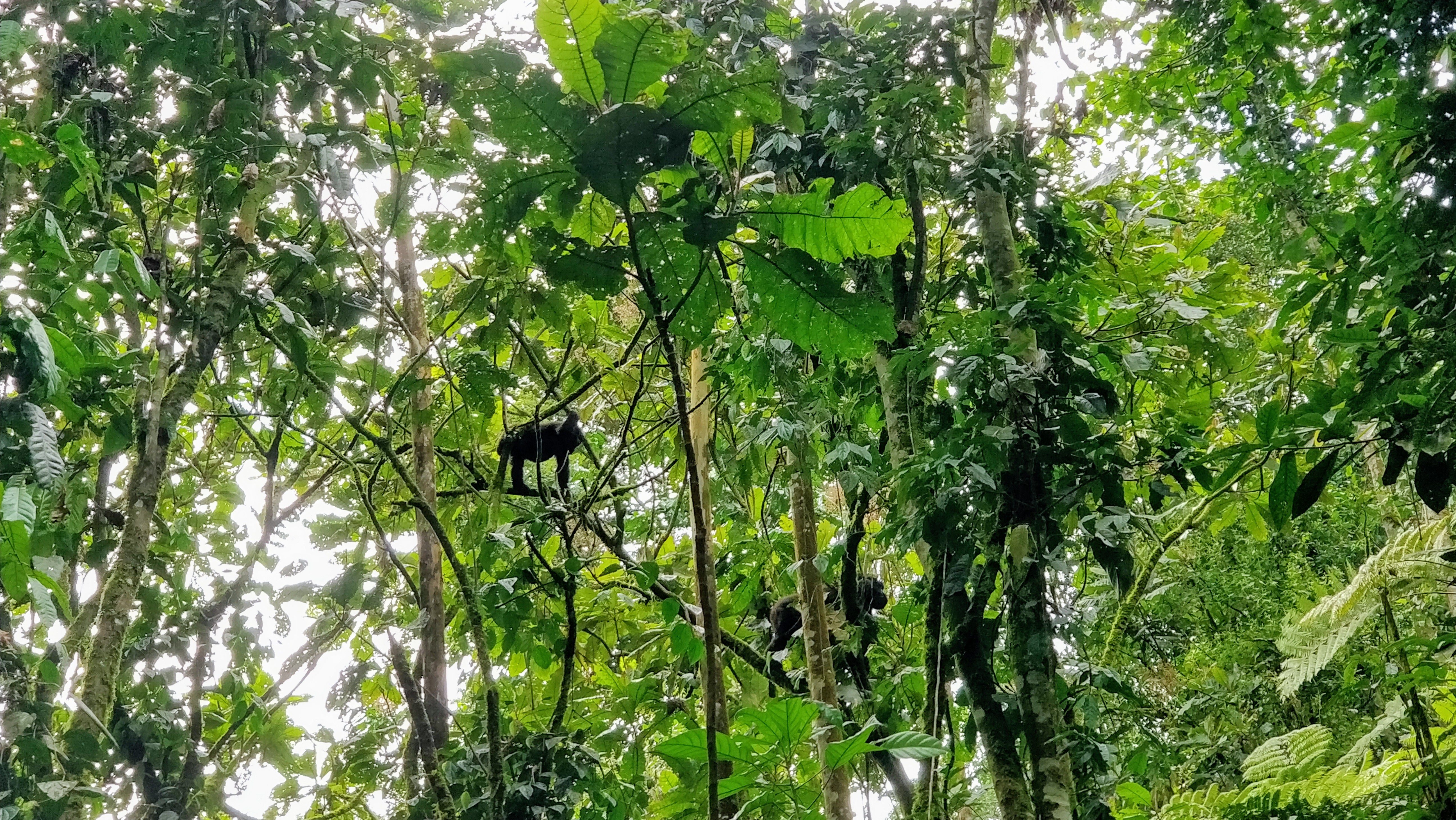 img_20180909_120750_01