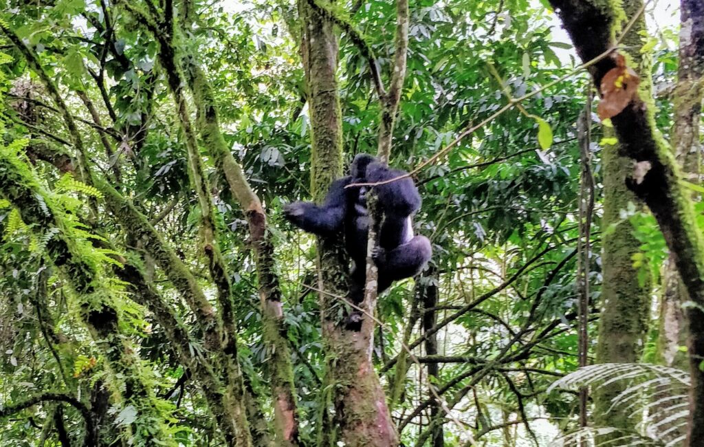 img_20180909_1230362