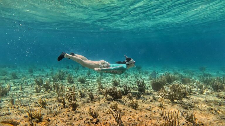 First stop, Mexico: Cozumel island