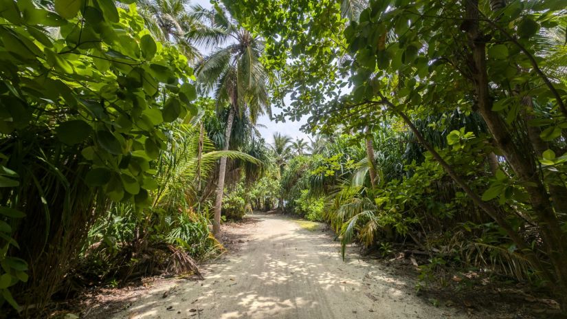 the walking path to the sand bar in fulhadhoo
