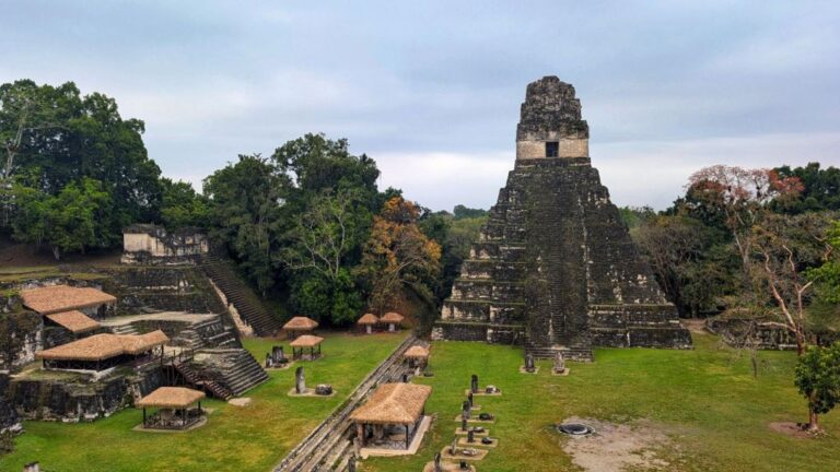 Incredible Wildlife and Ruins at Tikal