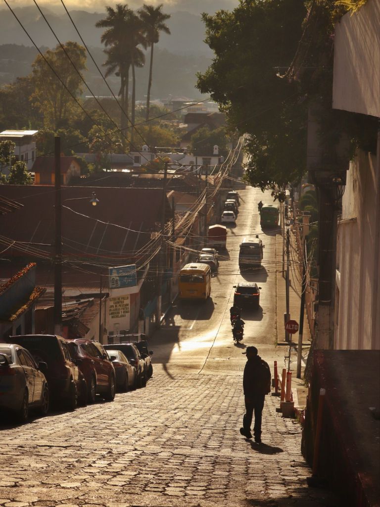 Seeking Quetzals in Cobán