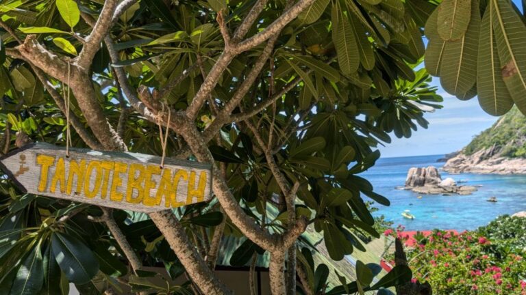 Snorkelling in Koh Tao