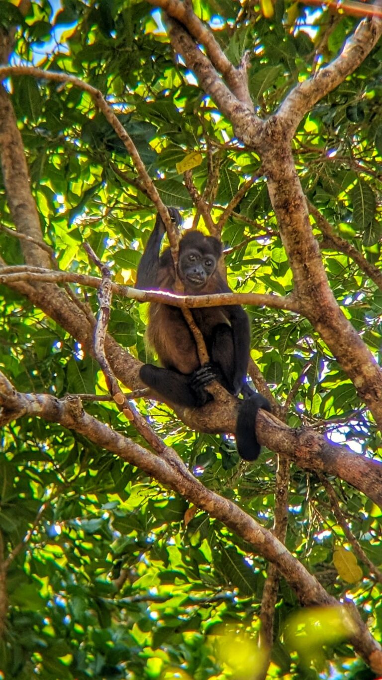 Wildlife and Peace at Laguna Apoyo